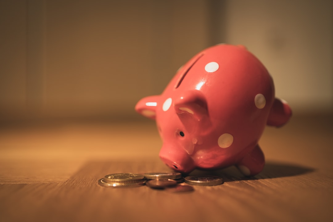 Štednja za mirovinu i financijska sigurnost za budućnost.