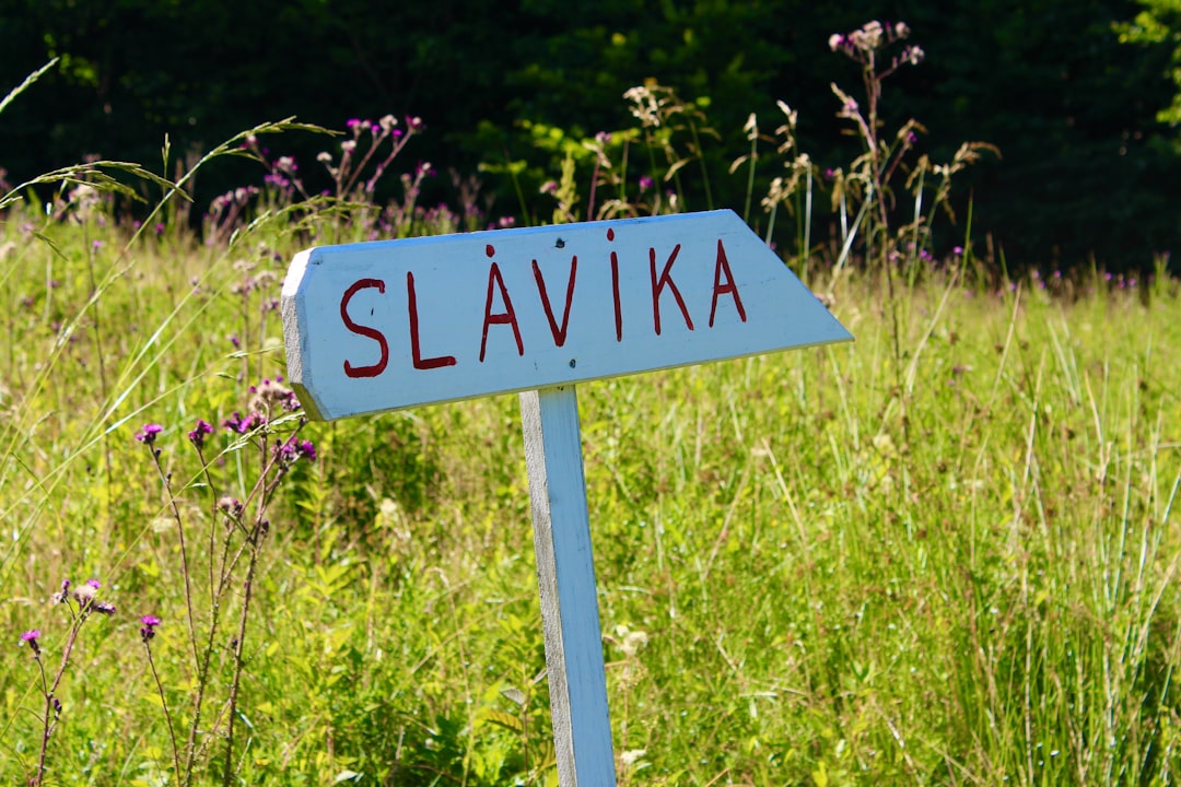 Zdravstveni radnici pomažu pacijentima u bolnici.